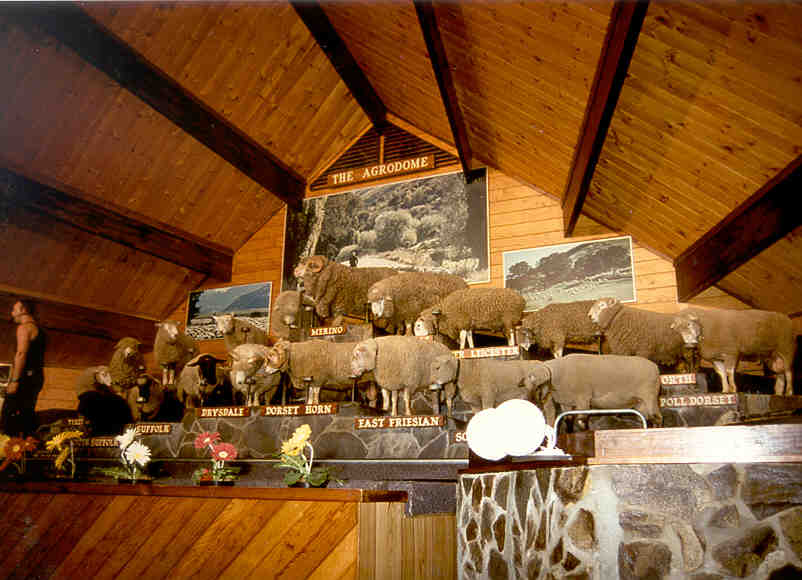 Agrodome
